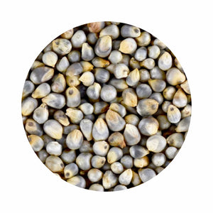Organic Bajra/Pearl Millet Whole (बाजरा)