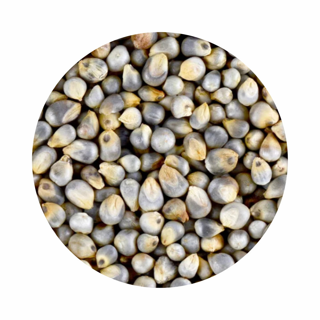 Organic Bajra/Pearl Millet Whole (बाजरा)