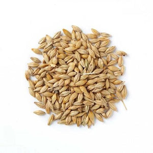 Organic Barley/Jau Whole (जौ साबुत)