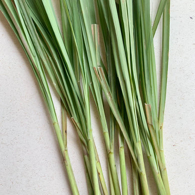 Organic Lemon Grass - 1 Bunch