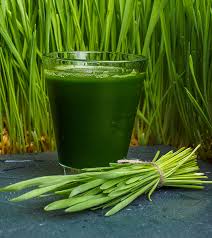 Wheat Grass Juice - 200 mL