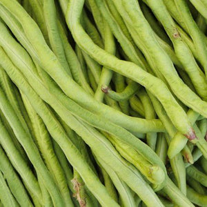 Organic Lobia Beans ( चावला फली) - Aroma of Health