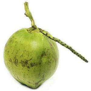 Coconut Green ( नारियल हरा) - Aroma of Health