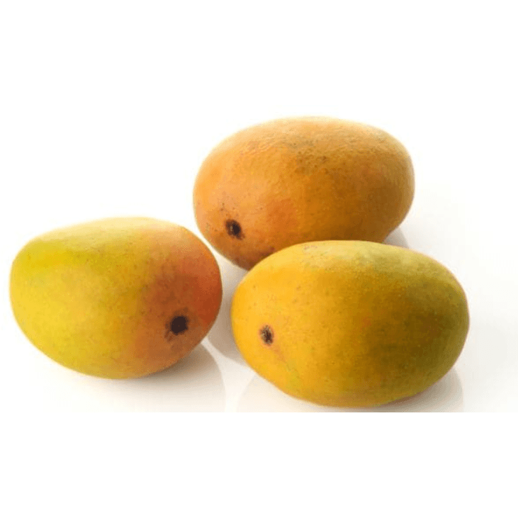 Mango Alphonso (आम हापुस) - Organically Grown - Aroma of Health