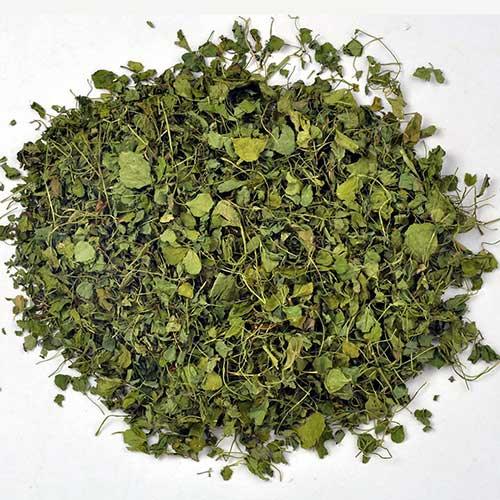 Kasuri Methi (कसूरी मेथी) - Organically Grown - Aroma of Health