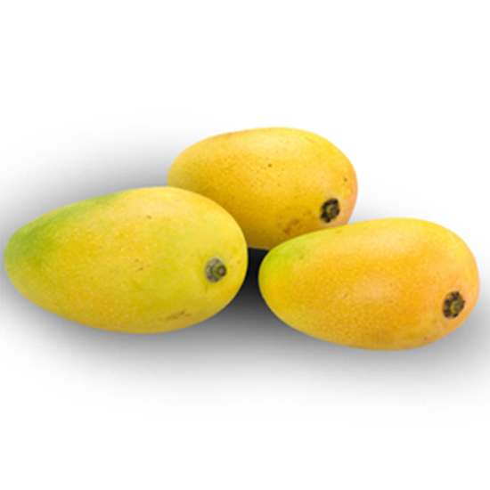 Mango Keshar (आम केशर) - Organically Grown Integrity Box (10 kg) - Aroma of Health