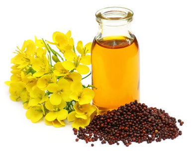 Organic Mustard Oil - Cold Pressed - Aroma of Health