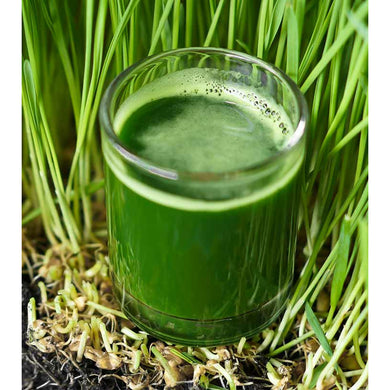 Organic Wheat Grass Juice - 250 mL - Aroma of Health