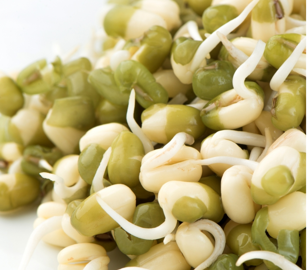Sprouts Organic (अंकुरित अनाज) 1 pack - Aroma of Health