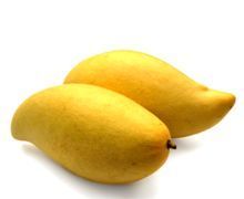 Mango Totapuri (तोतापुरी आम) - Aroma of Health