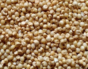 Organic Sorghum Whole (ज्वार)